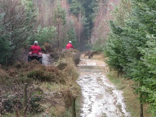 Patara Forest ATV Safari: An Adrenaline-Packed Adventure Near Kalkan