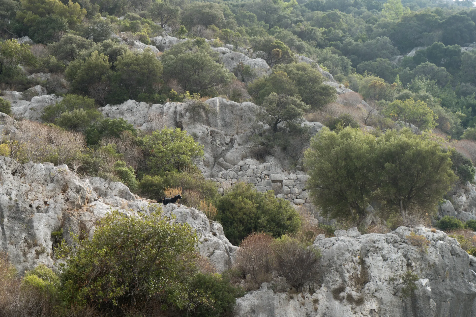 Kekova Sunken City Boat Tour